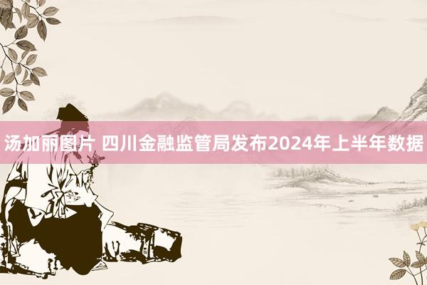 汤加丽图片 四川金融监管局发布2024年上半年数据