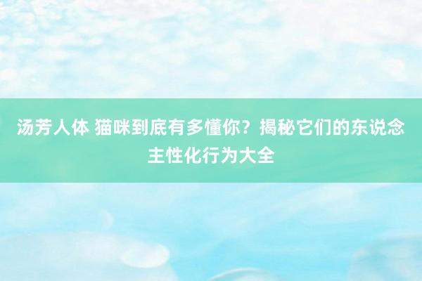 汤芳人体 猫咪到底有多懂你？揭秘它们的东说念主性化行为大全