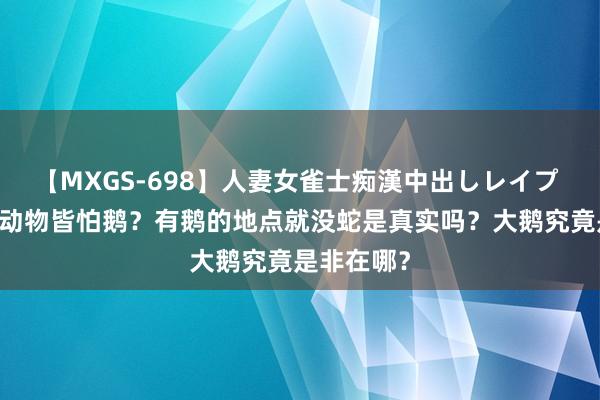 【MXGS-698】人妻女雀士痴漢中出しレイプ 雪菜 为啥动物皆怕鹅？有鹅的地点就没蛇是真实吗？大鹅究竟是非在哪？