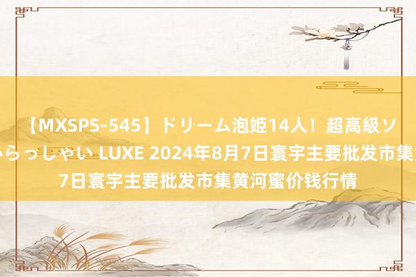 【MXSPS-545】ドリーム泡姫14人！超高級ソープランドへいらっしゃい LUXE 2024年8月7日寰宇主要批发市集黄河蜜价钱行情