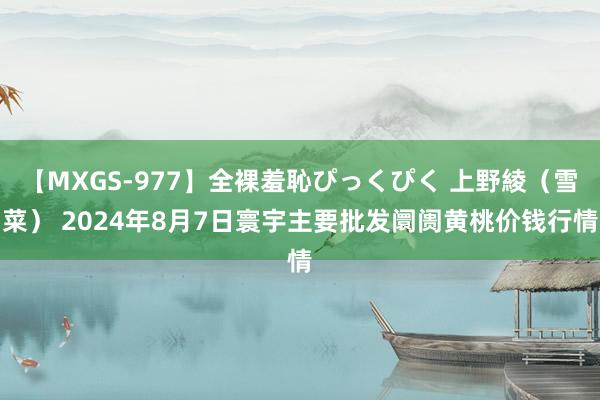 【MXGS-977】全裸羞恥ぴっくぴく 上野綾（雪菜） 2024年8月7日寰宇主要批发阛阓黄桃价钱行情