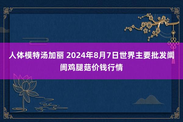 人体模特汤加丽 2024年8月7日世界主要批发阛阓鸡腿菇价钱行情