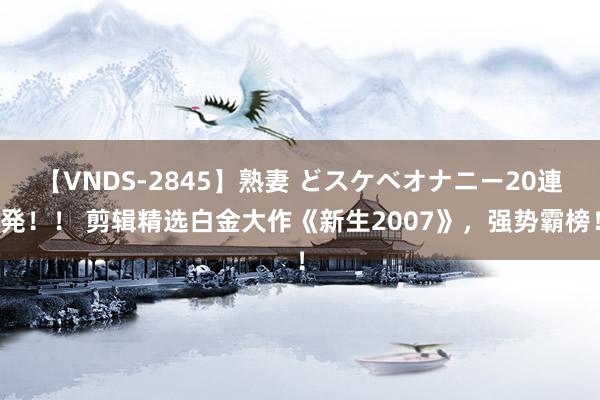 【VNDS-2845】熟妻 どスケベオナニー20連発！！ 剪辑精选白金大作《新生2007》，强势霸榜！