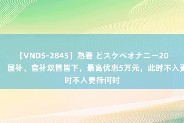 【VNDS-2845】熟妻 どスケベオナニー20連発！！ 国补、官补双管皆下，最高优惠5万元，此时不入更待何时