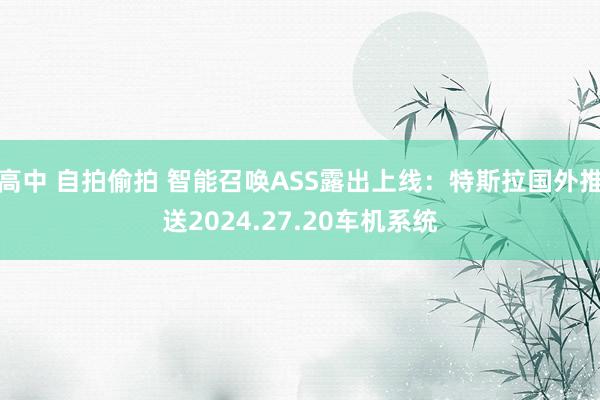 高中 自拍偷拍 智能召唤ASS露出上线：特斯拉国外推送2024.27.20车机系统