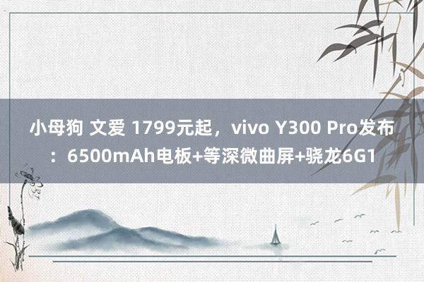 小母狗 文爱 1799元起，vivo Y300 Pro发布：6500mAh电板+等深微曲屏+骁龙6G1