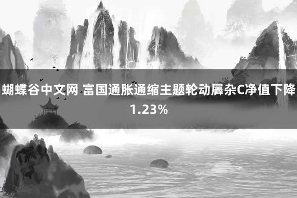 蝴蝶谷中文网 富国通胀通缩主题轮动羼杂C净值下降1.23%