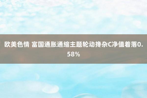 欧美色情 富国通胀通缩主题轮动搀杂C净值着落0.58%