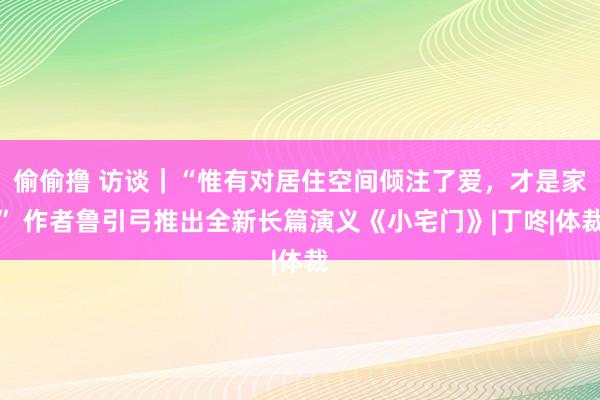 偷偷撸 访谈｜“惟有对居住空间倾注了爱，才是家” 作者鲁引弓推出全新长篇演义《小宅门》|丁咚|体裁