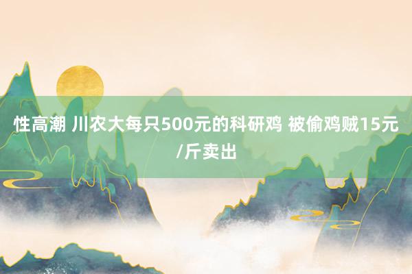 性高潮 川农大每只500元的科研鸡 被偷鸡贼15元/斤卖出