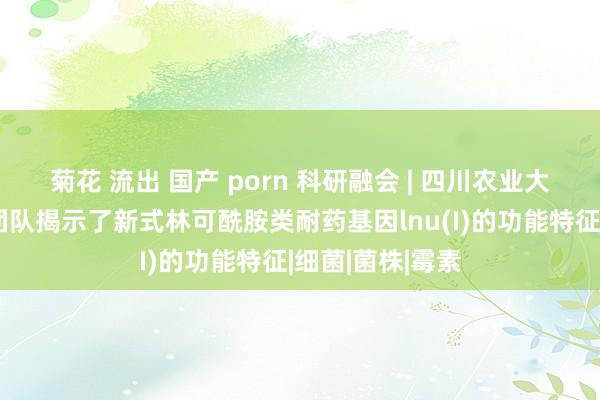 菊花 流出 国产 porn 科研融会 | 四川农业大学郑重程安春团队揭示了新式林可酰胺类耐药基因lnu(I)的功能特征|细菌|菌株|霉素