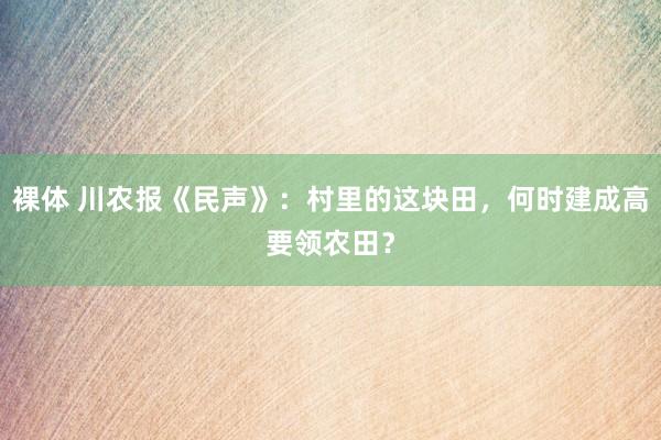 裸体 川农报《民声》：村里的这块田，何时建成高要领农田？