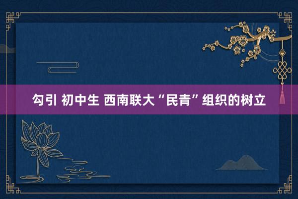 勾引 初中生 西南联大“民青”组织的树立