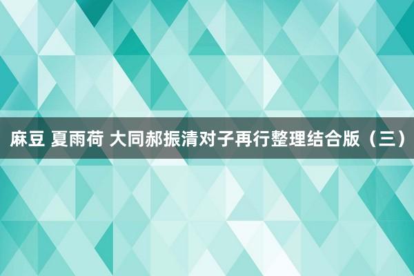 麻豆 夏雨荷 大同郝振清对子再行整理结合版（三）